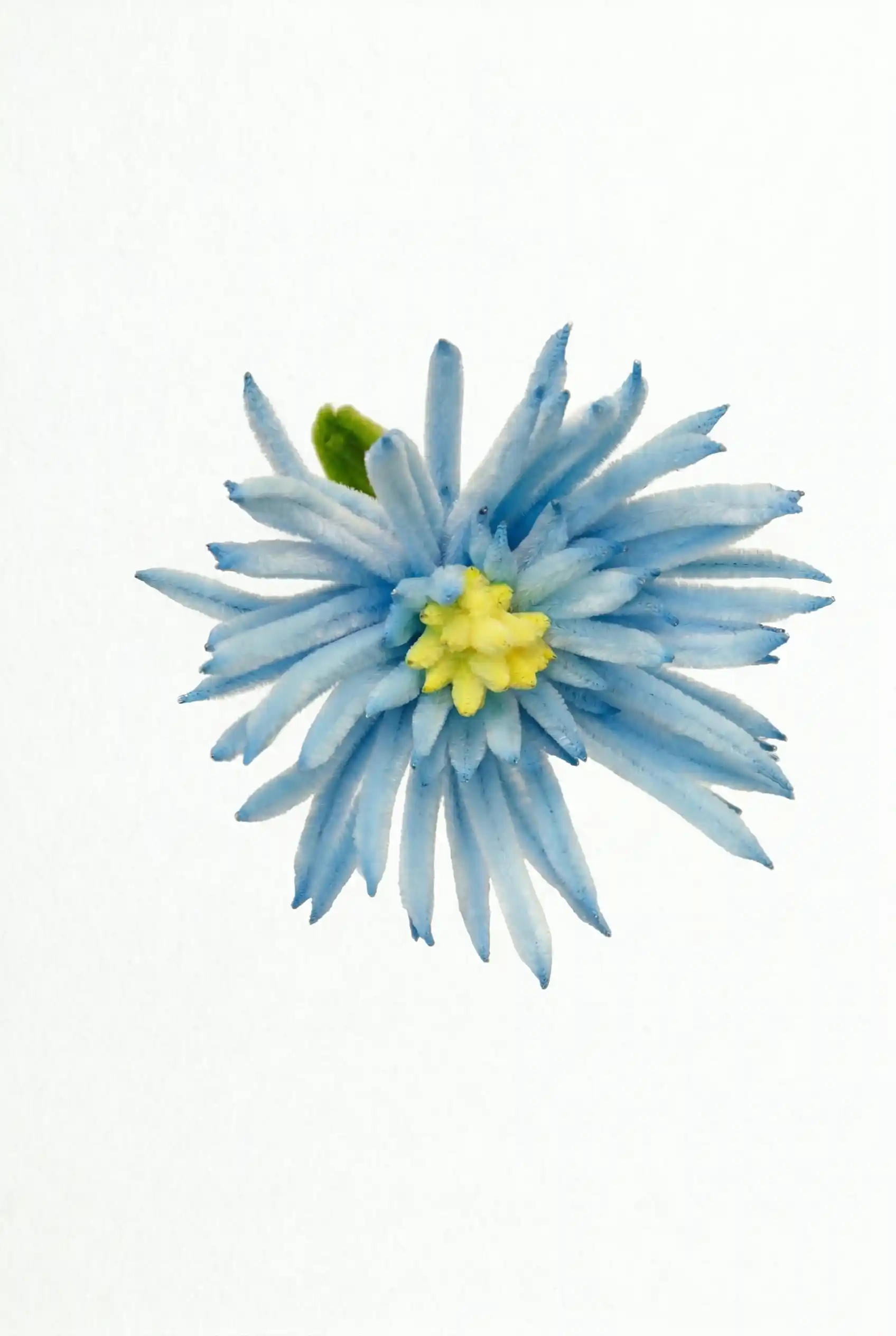 Top view of a finished handmade blue firework chrysanthemum soft sculpture by Glint Garden