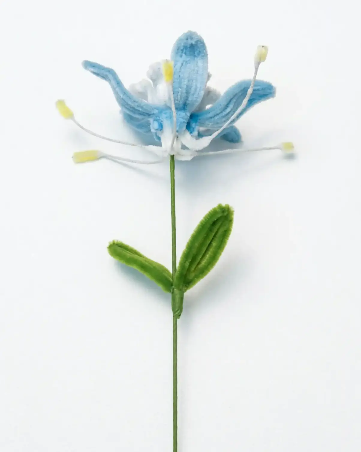 Side view of a finished artisan-made blue Tweedia flower with dynamic long yellow-tipped stamens.