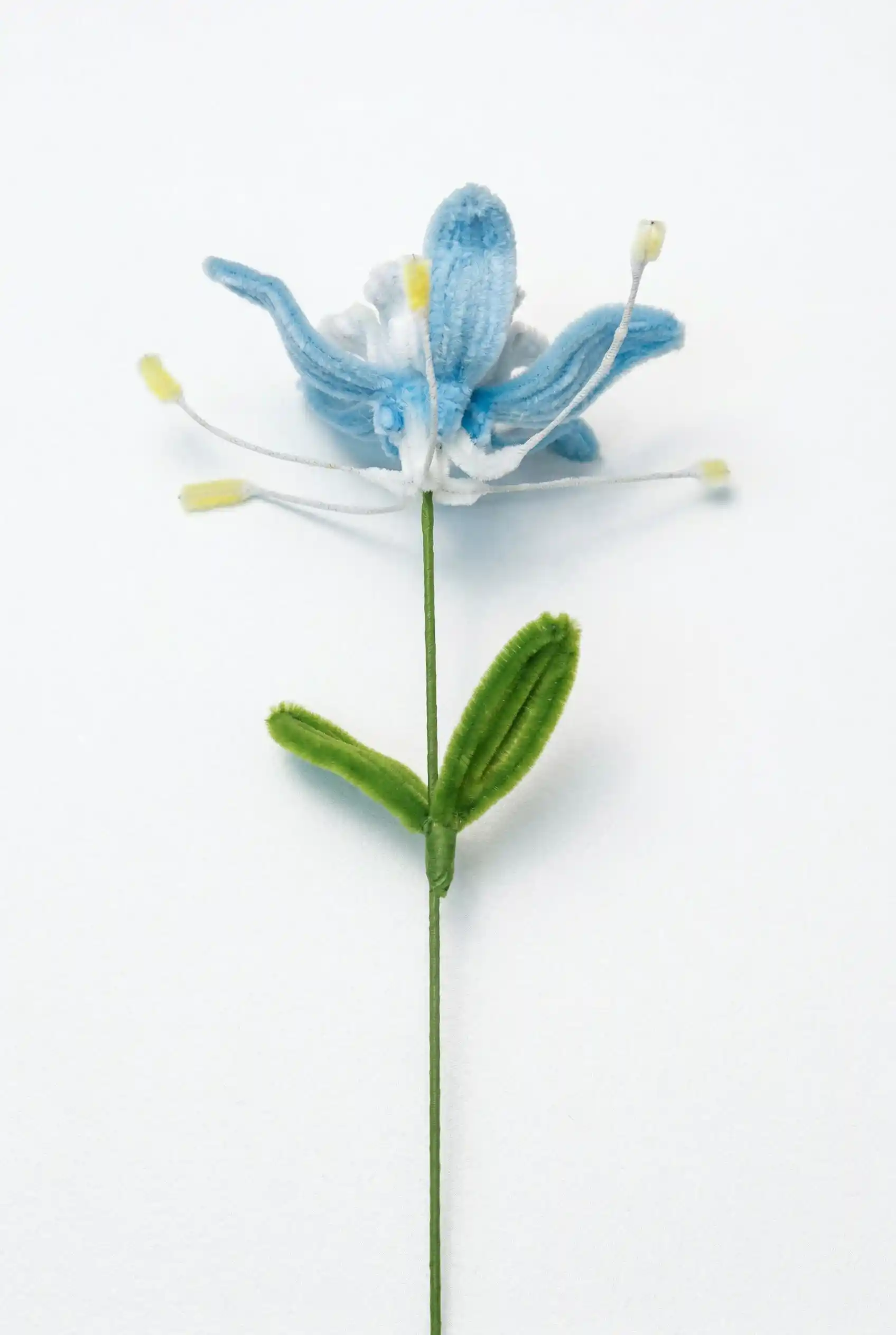 Side view of a finished artisan-made blue Tweedia flower with dynamic long yellow-tipped stamens.