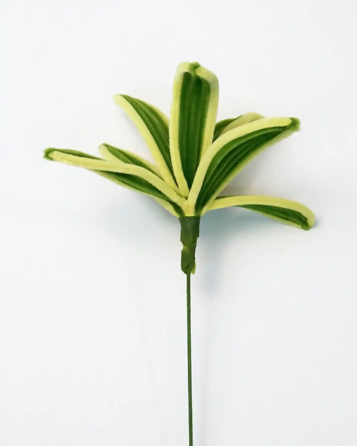 Side view of a finished artisan-made variegated Pleomele plant sculpture, ready for home decor.