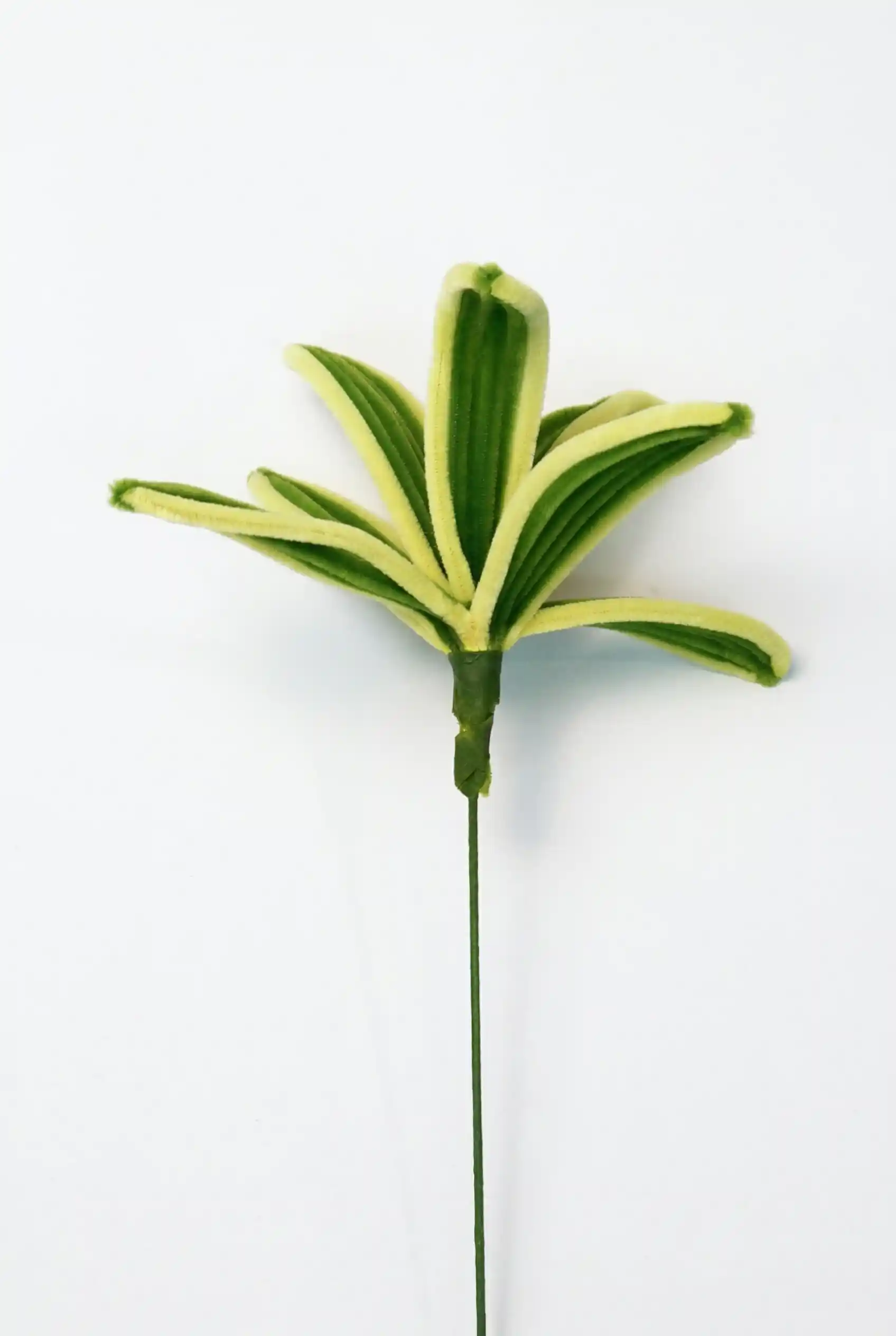 Side view of a finished artisan-made variegated Pleomele plant sculpture, ready for home decor.