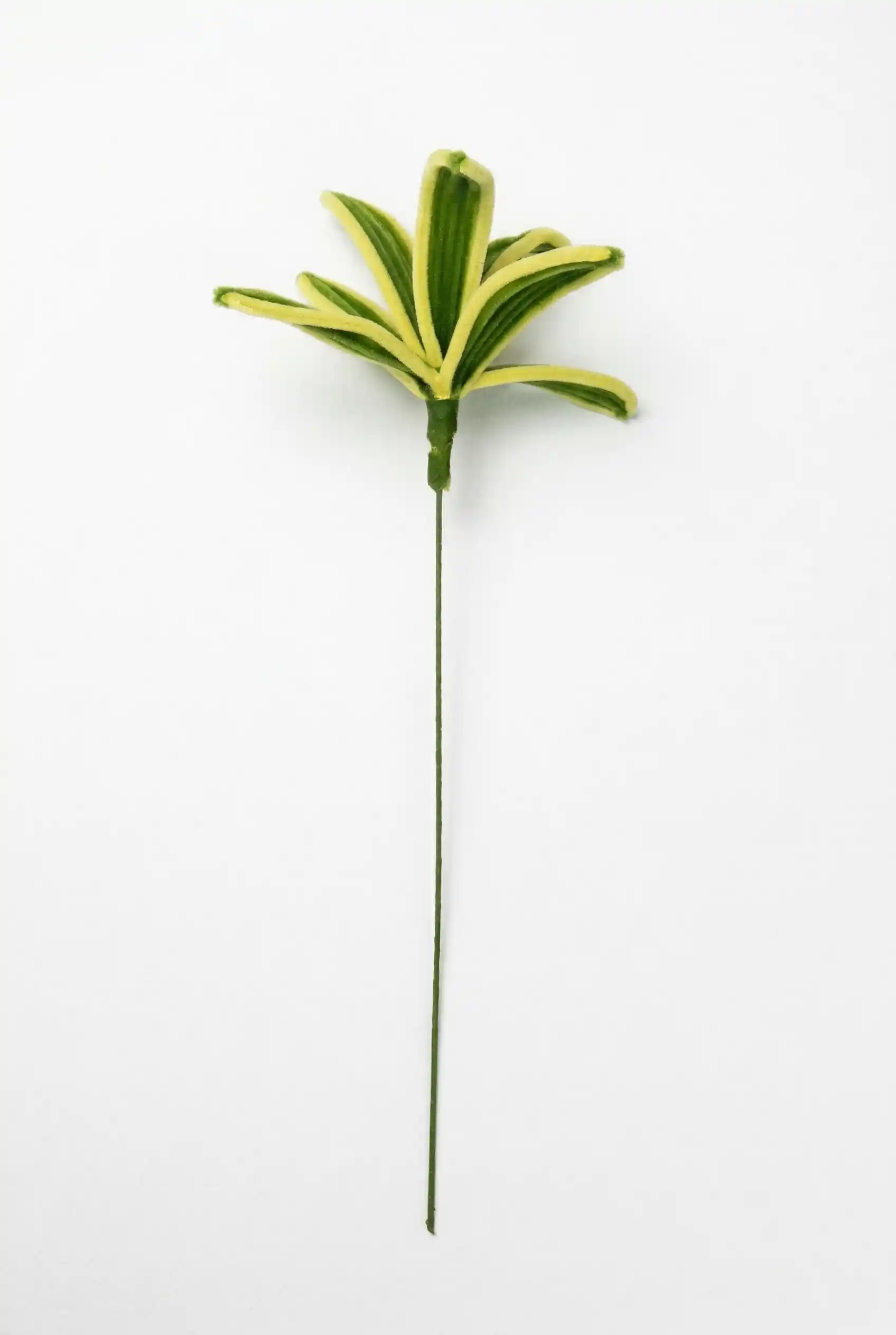 Side view of a finished artisan-made variegated Pleomele plant sculpture, ready for home decor.