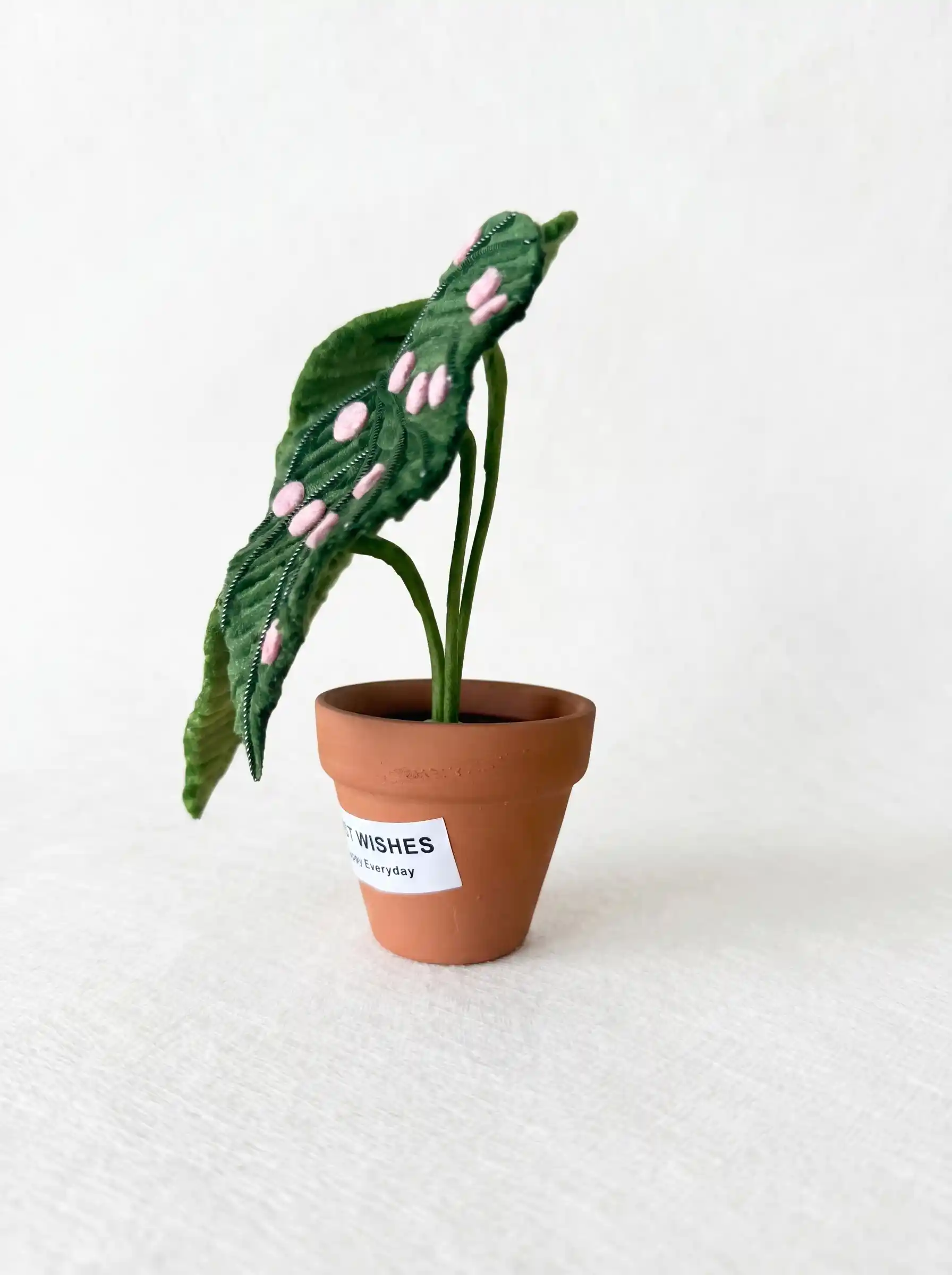 A handmade Begonia Maculata (Polka Dot Begonia) made from chenille stems in a small terracotta pot.