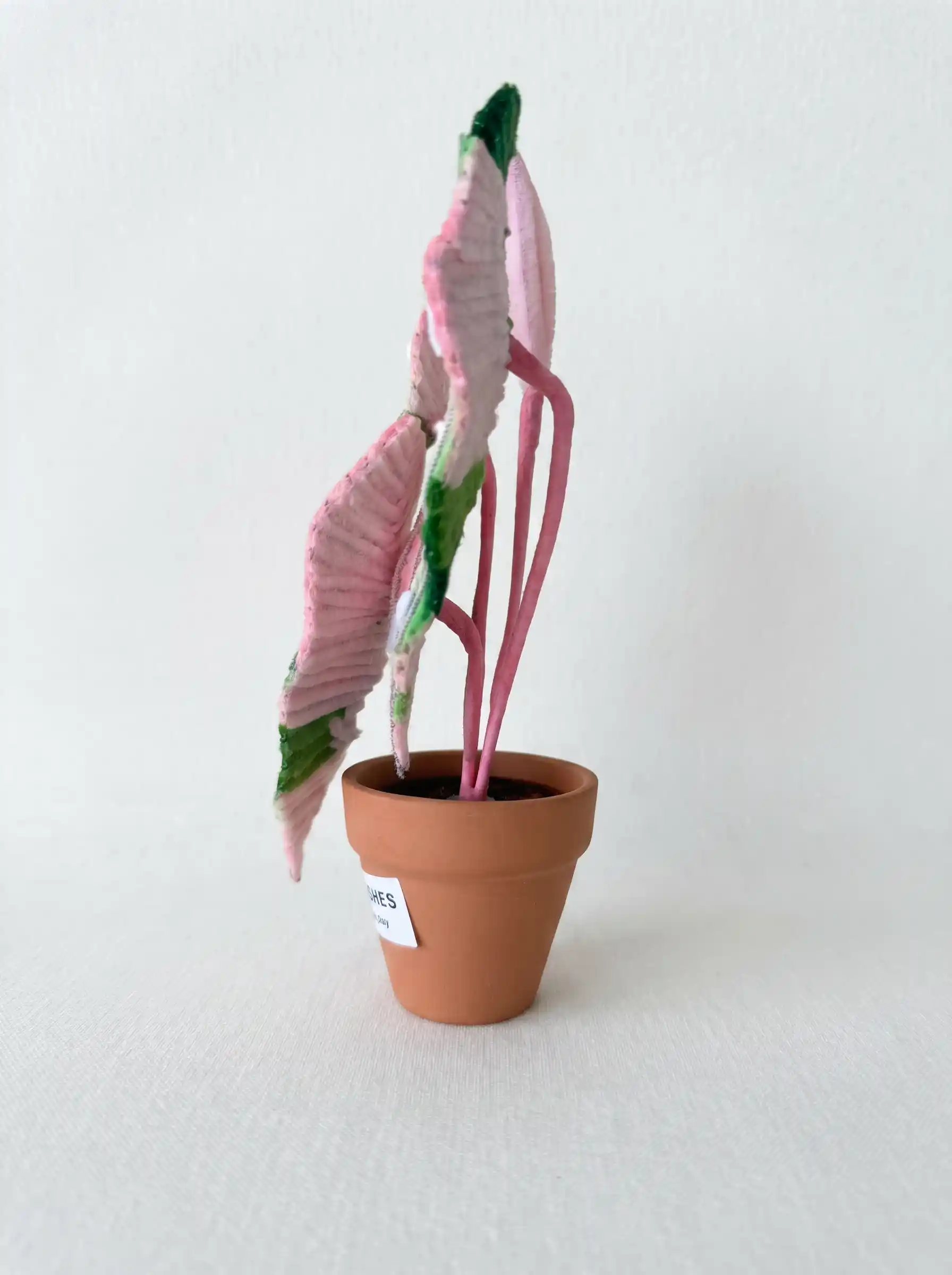 Side profile of a 15cm tall handmade polka dot Begonia plant, perfect for minimalist desk decor.
