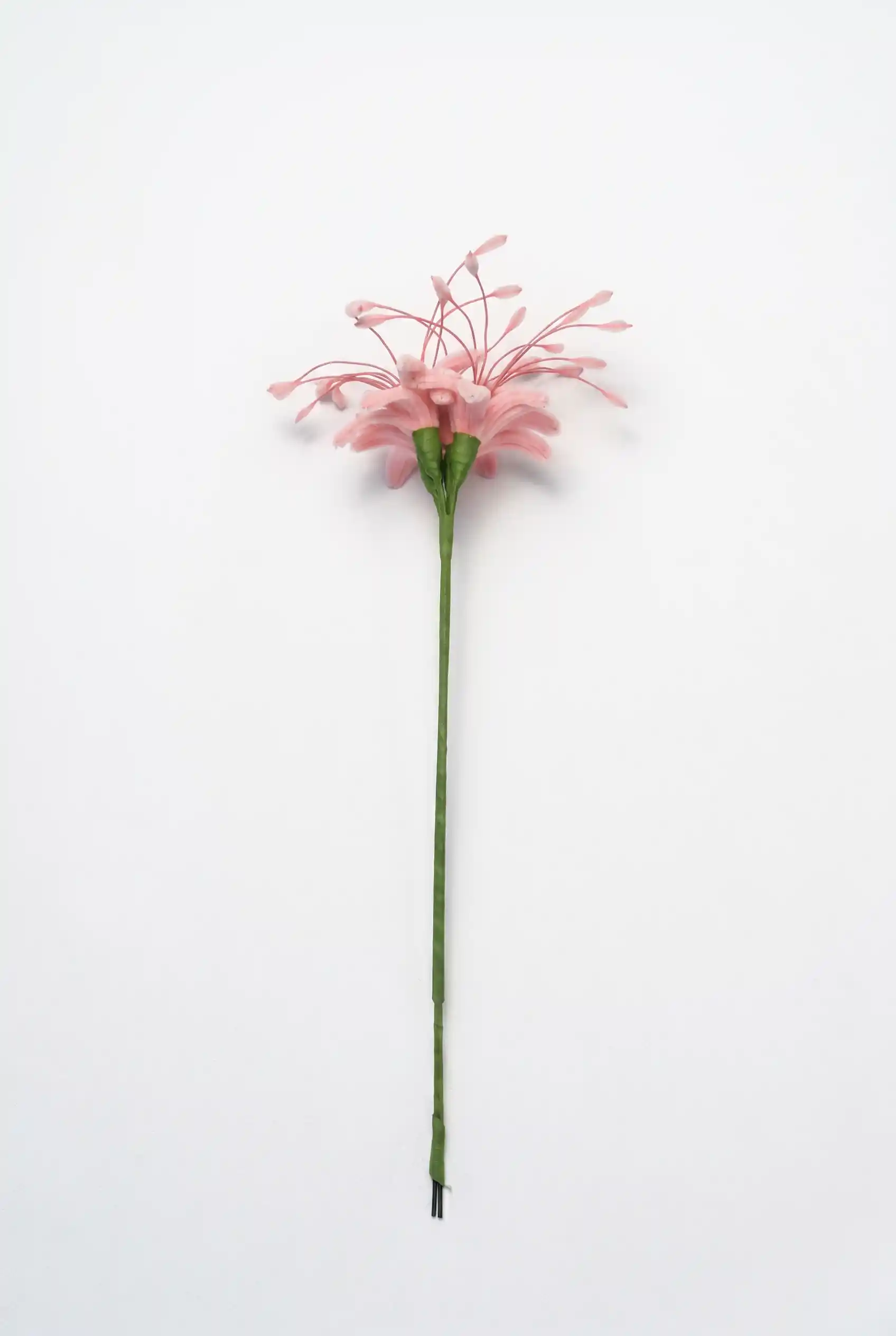 Side profile of a finished artisan-made blush pink spider lily on a long stem, a unique statement piece for home decor.