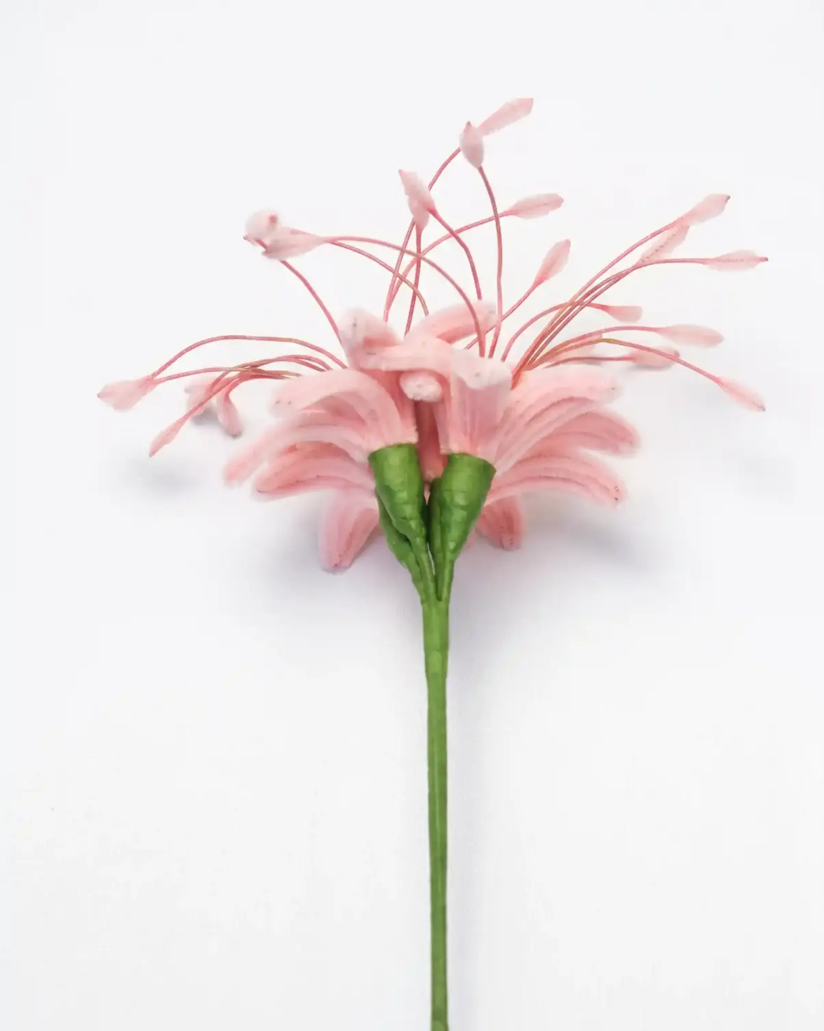 a finished handmade pink spider lily (Lycoris) soft sculpture by Glint Garden, featuring delicate curling petals and long stamens.