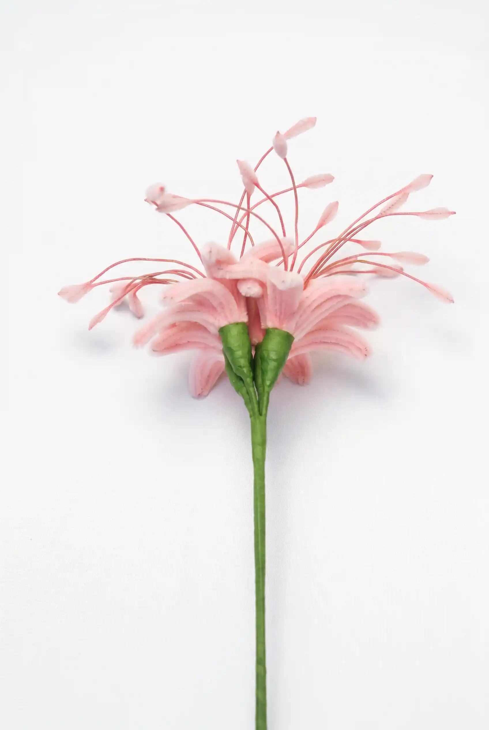 a finished handmade pink spider lily (Lycoris) soft sculpture by Glint Garden, featuring delicate curling petals and long stamens.